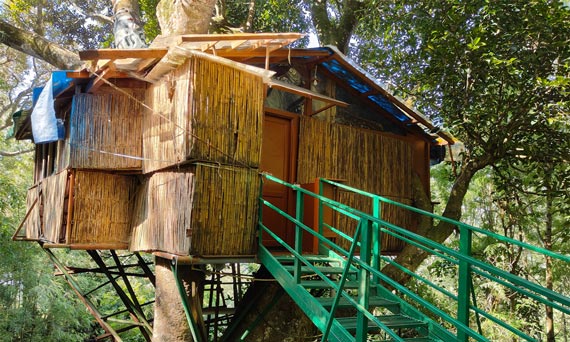Tipperary Treehouse